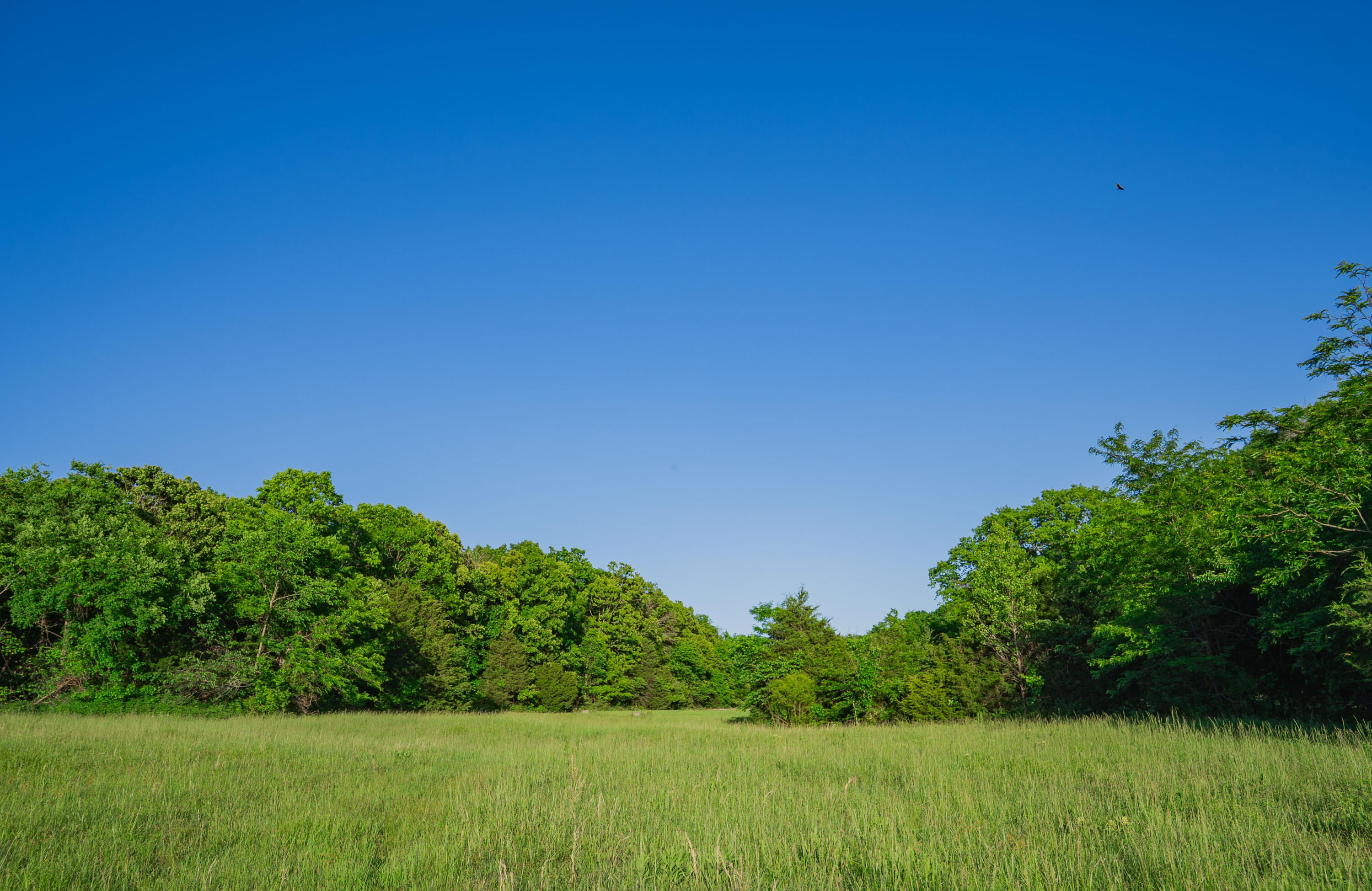 450 East 375th Road Dunnegan, MO 65640 - Photo 73 of 108 IMG__5