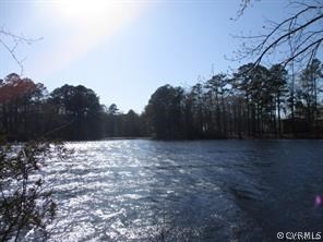 Lot 3 Manning Road Suffolk, VA 23434 - Photo 1 of 5 Gallery Image 1