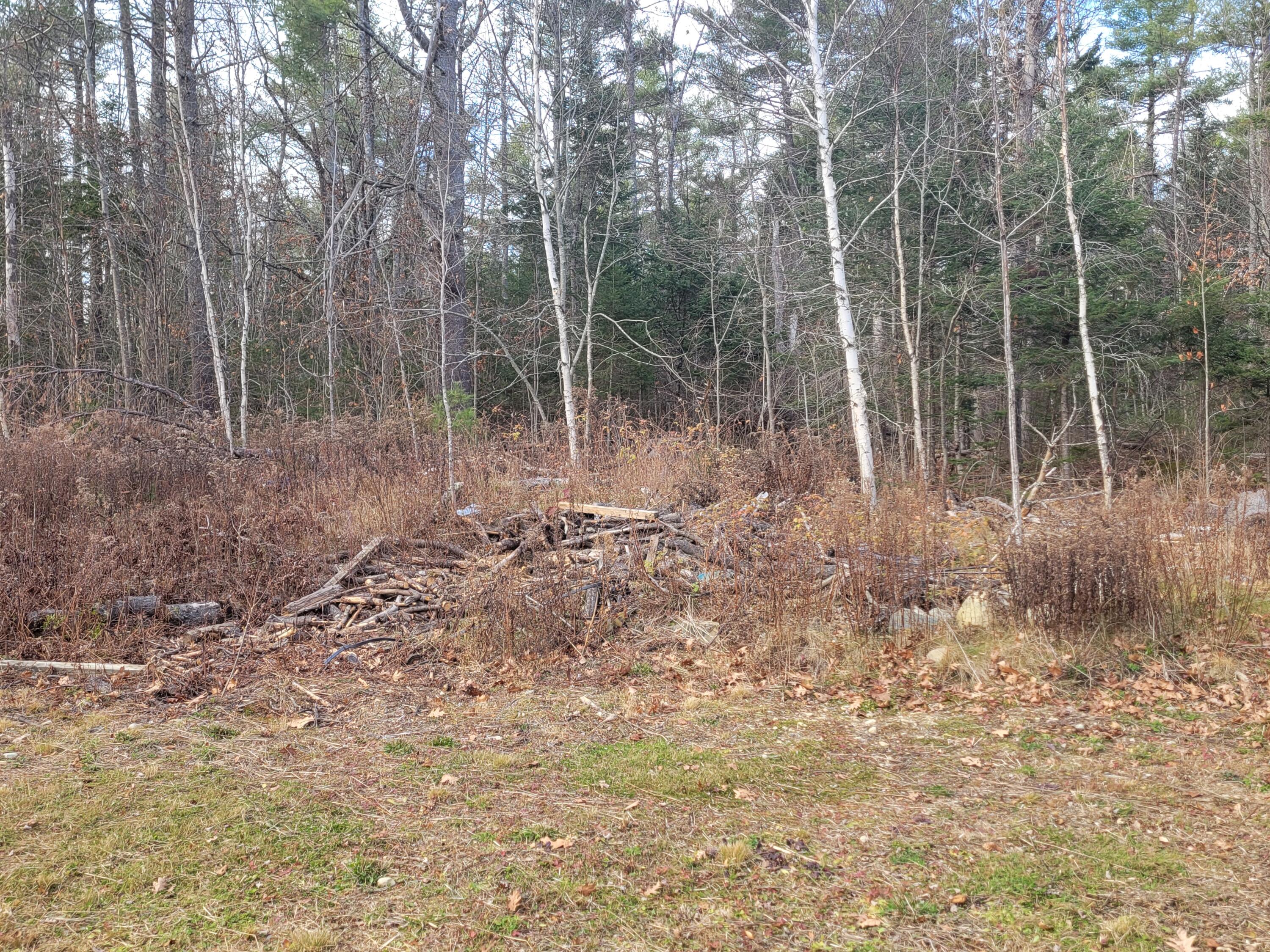 40 Savery Road Searsport, ME 04974 - Photo 2 of 29 20241119_125528
