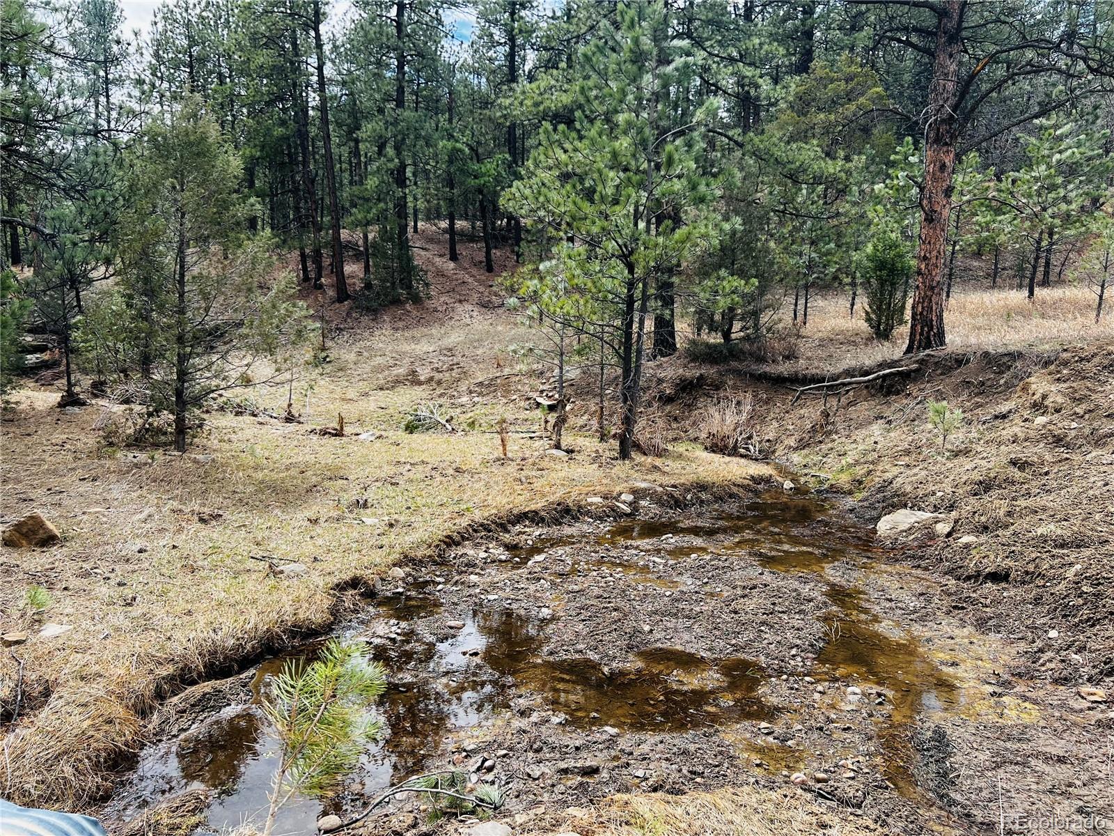 Lot 36 Logging Canyon Road Weston, CO 81091 - Photo 1 of 20 Gallery Image 1