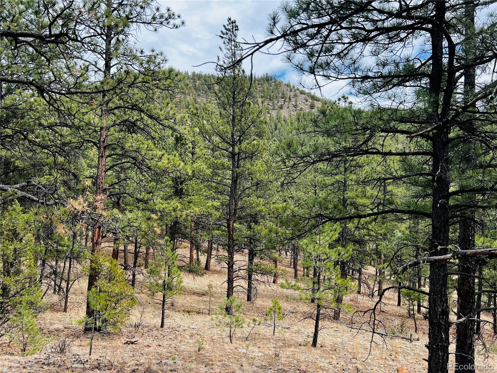 Lot 36 Logging Canyon Road Weston, CO 81091 - Photo 11 of 20 Gallery Image 11