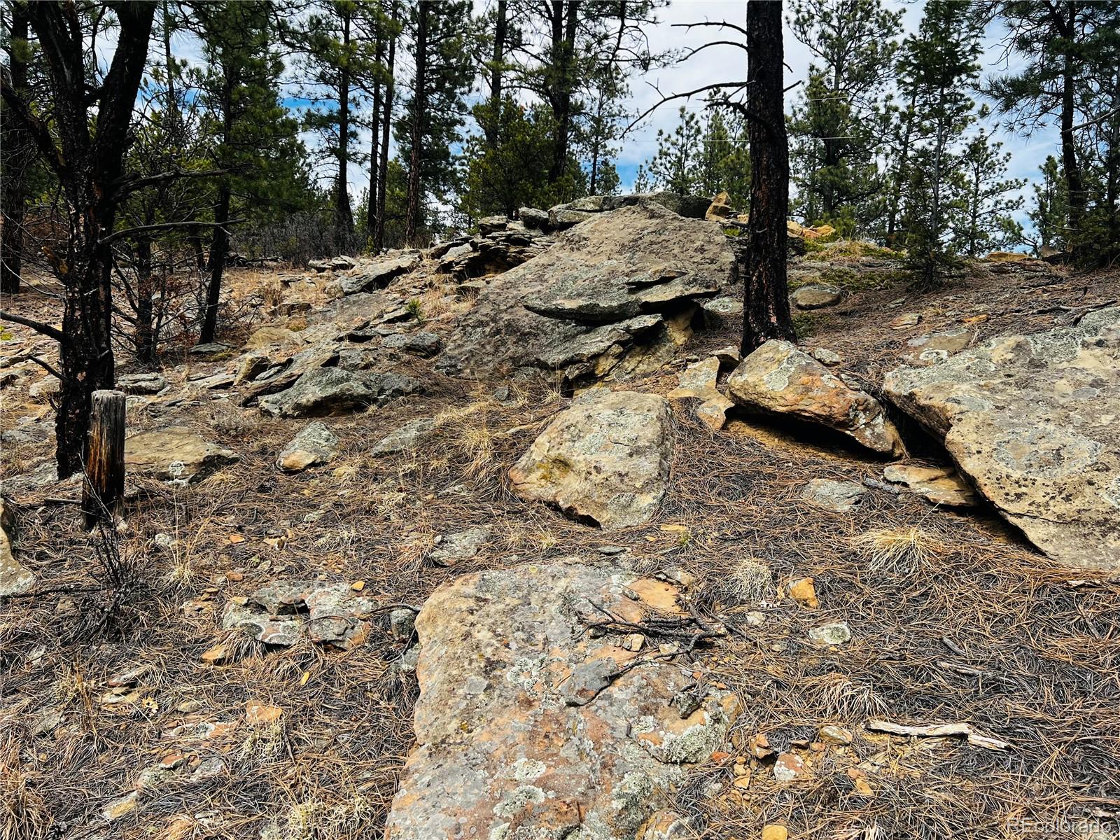 Lot 36 Logging Canyon Road Weston, CO 81091 - Photo 14 of 20 Gallery Image 14