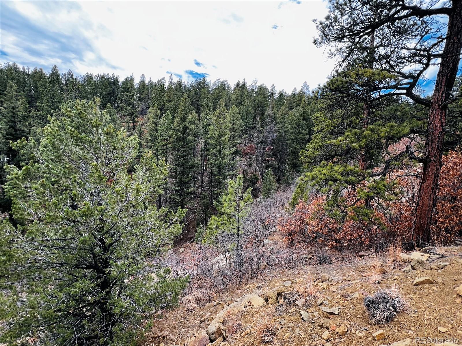 Lot 36 Logging Canyon Road Weston, CO 81091 - Photo 15 of 20 Gallery Image 15