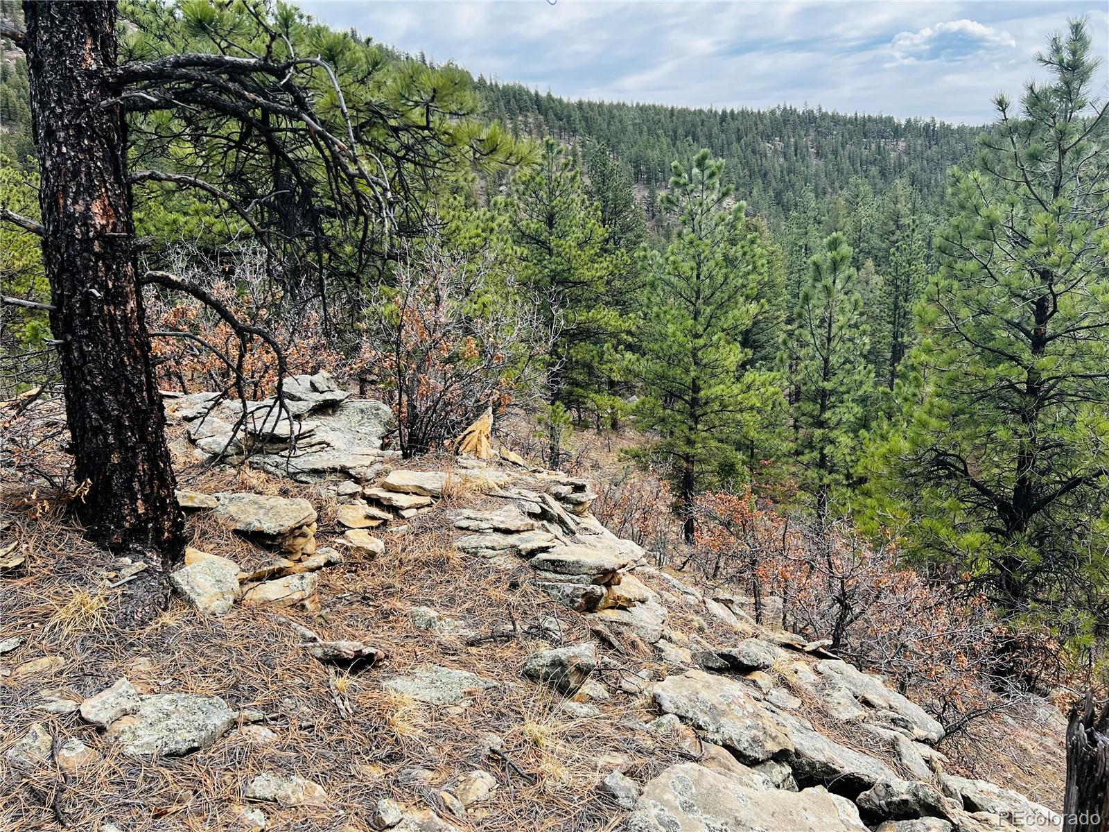 Lot 36 Logging Canyon Road Weston, CO 81091 - Photo 17 of 20 Gallery Image 17