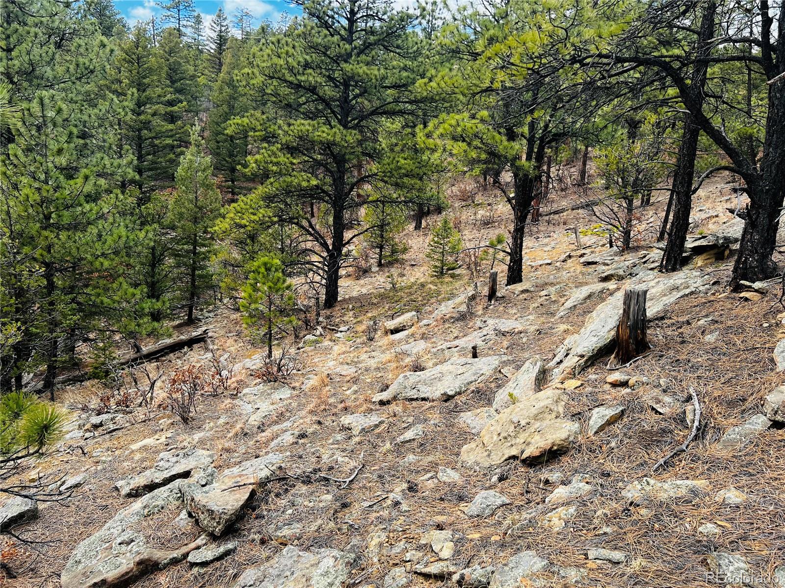 Lot 36 Logging Canyon Road Weston, CO 81091 - Photo 19 of 20 Gallery Image 19