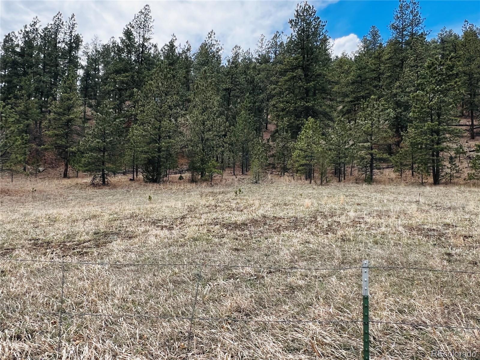 Lot 36 Logging Canyon Road Weston, CO 81091 - Photo 2 of 20 Gallery Image 2