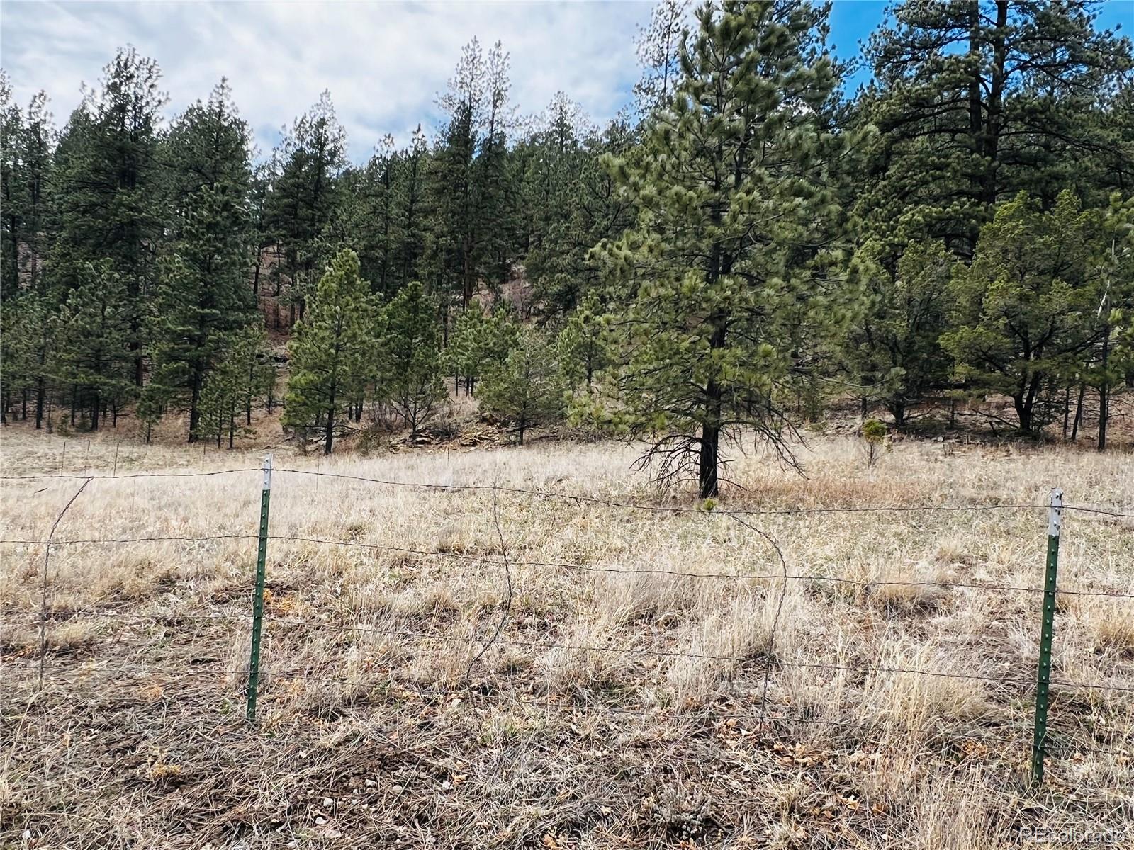 Lot 36 Logging Canyon Road Weston, CO 81091 - Photo 3 of 20 Gallery Image 3