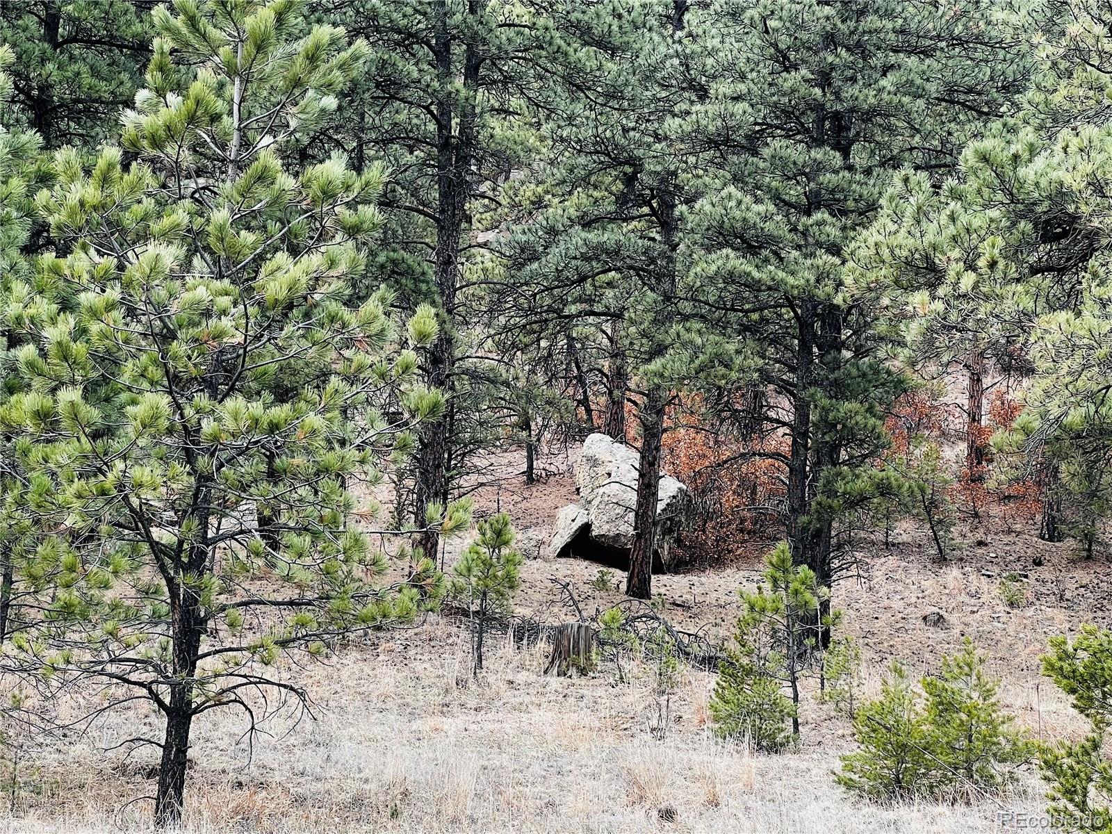 Lot 36 Logging Canyon Road Weston, CO 81091 - Photo 4 of 20 Gallery Image 4