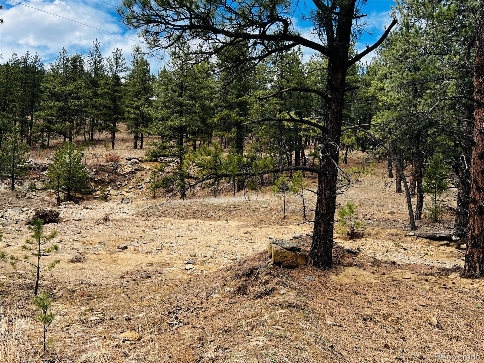 Lot 36 Logging Canyon Road Weston, CO 81091 - Photo 5 of 20 Gallery Image 5