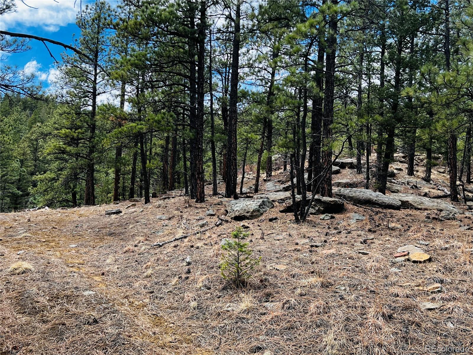Lot 36 Logging Canyon Road Weston, CO 81091 - Photo 6 of 20 Gallery Image 6