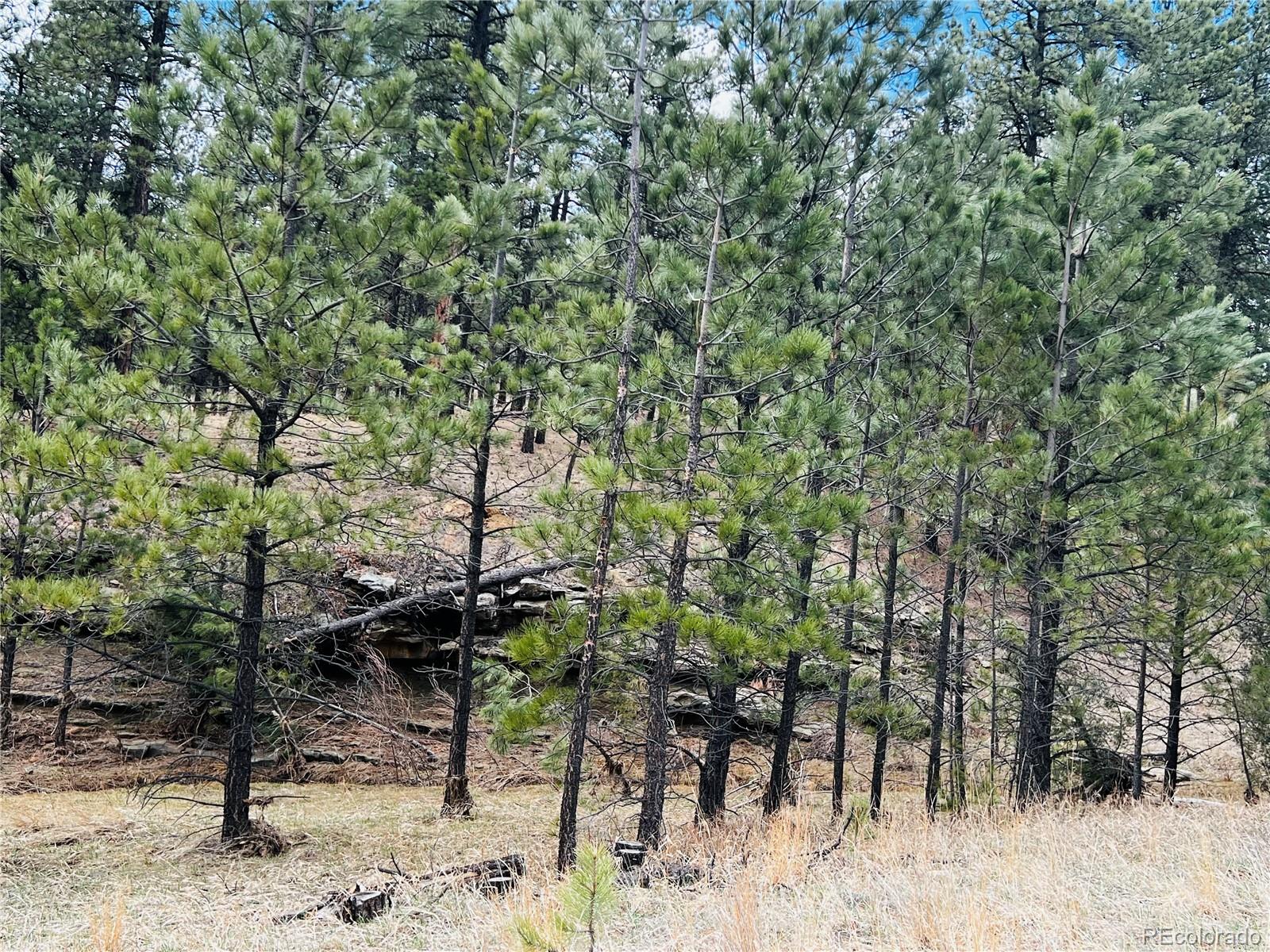 Lot 36 Logging Canyon Road Weston, CO 81091 - Photo 7 of 20 Gallery Image 7