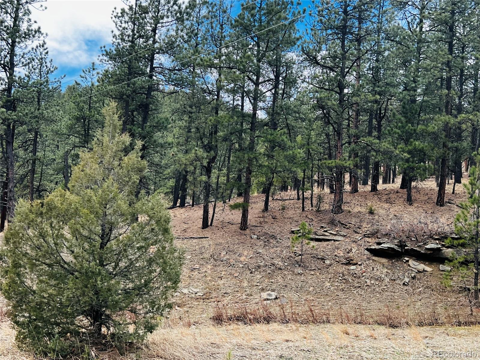 Lot 36 Logging Canyon Road Weston, CO 81091 - Photo 8 of 20 Gallery Image 8