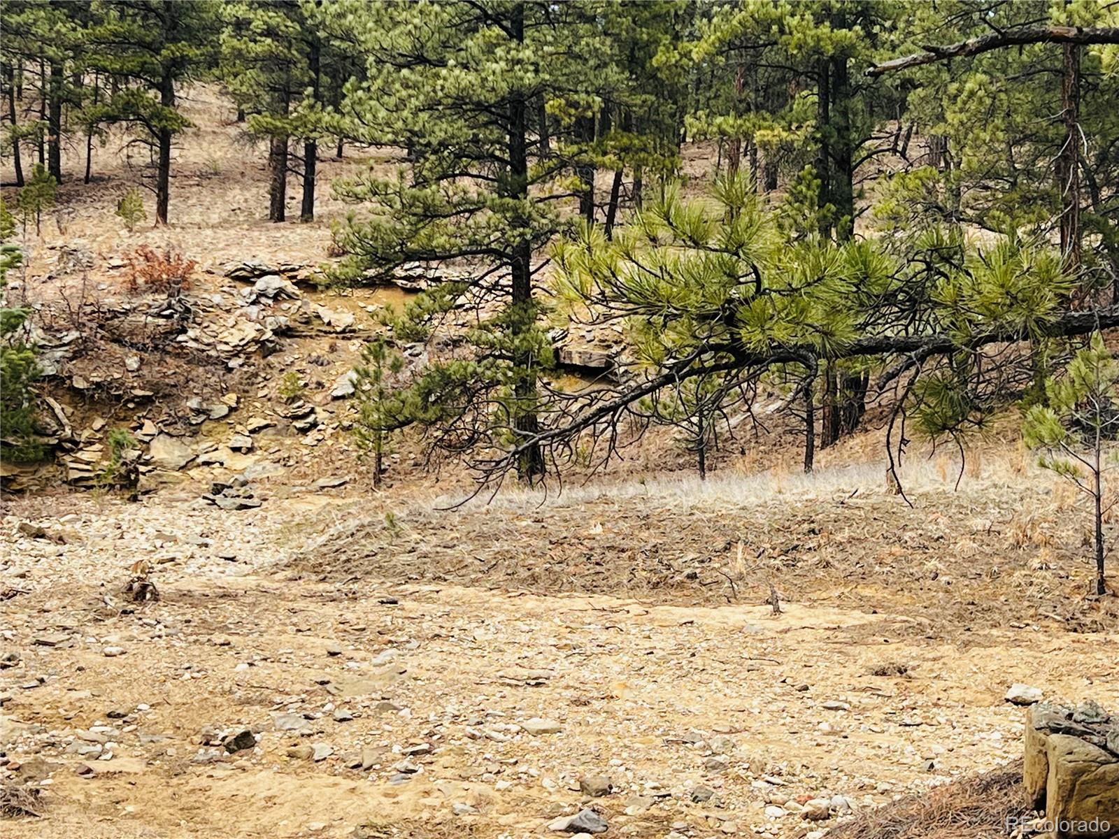 Lot 36 Logging Canyon Road Weston, CO 81091 - Photo 9 of 20 Gallery Image 9