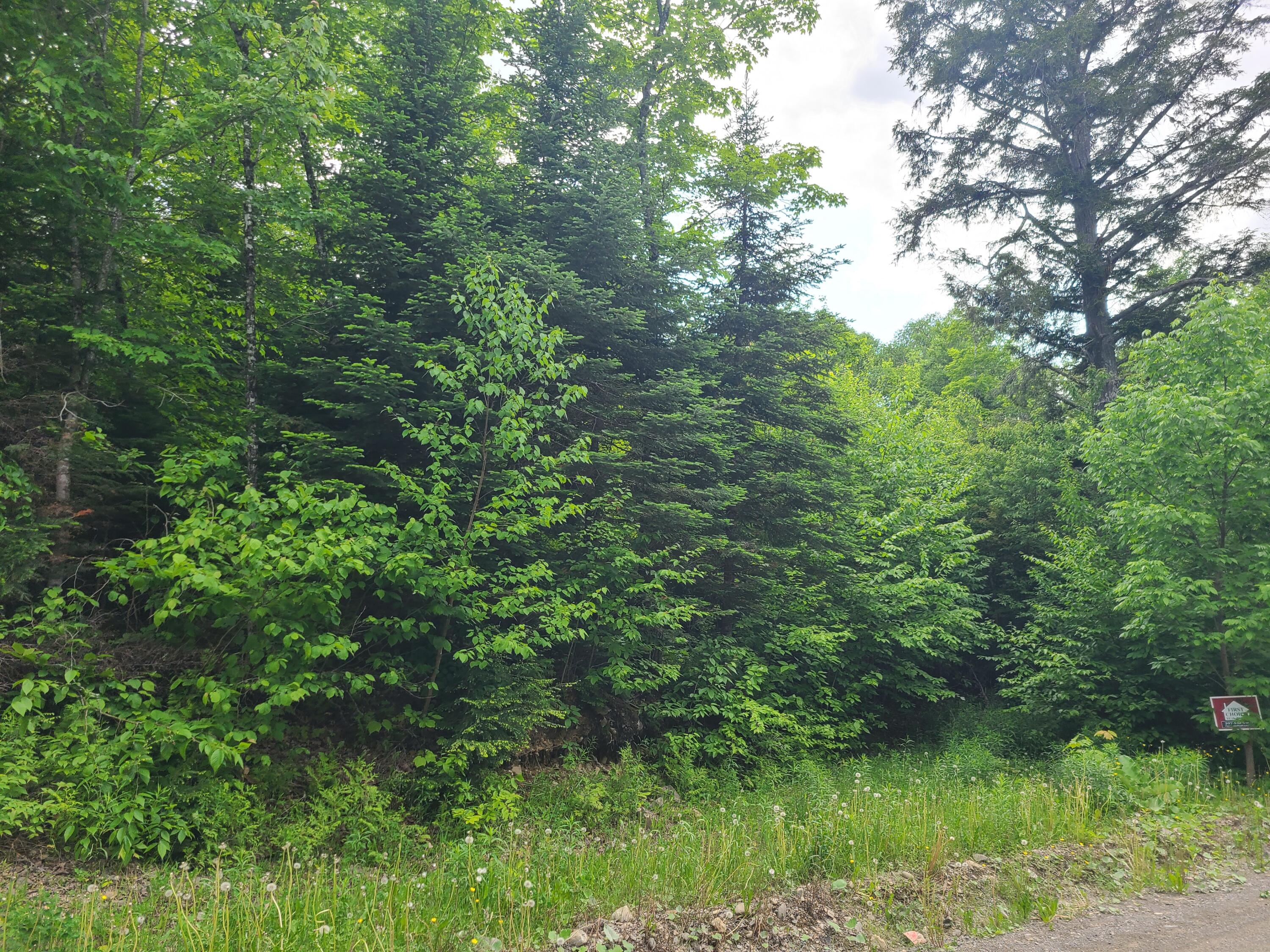 Lot # Kinney Road Blaine, ME 04734 - Photo 3 of 3 20250613_153514
