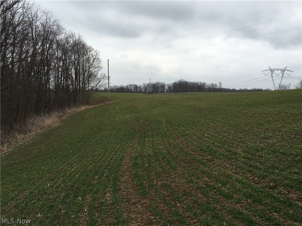 7130 Young Road Adamsville, OH 43802 - Photo 15 of 16 Rosan Echelberry Farm Auction 7130 Young Rd, Adamsville OH 43802