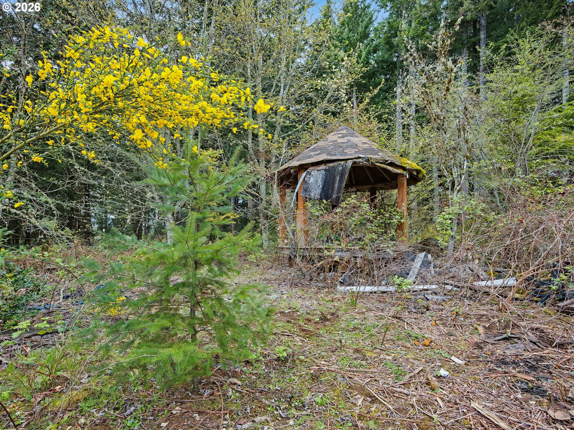 23161 Southeast Bornstedt Road Sandy, OR 97055 - Photo 15 of 48