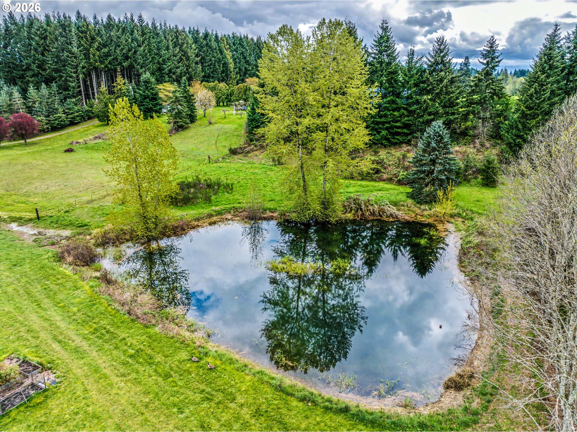 23161 Southeast Bornstedt Road Sandy, OR 97055 - Photo 7 of 48