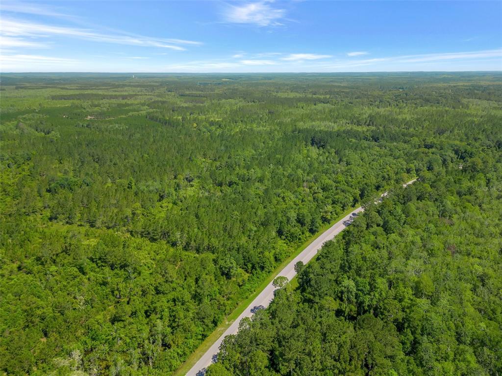 B South Salt Road Monticello, FL 32344 - Photo 1 of 1 Gallery Image 1