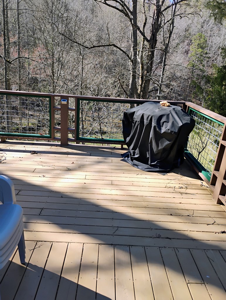 575 Upper Bear Paw Road Murphy, NC 28906 - Photo 15 of 61