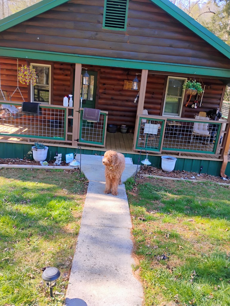 575 Upper Bear Paw Road Murphy, NC 28906 - Photo 16 of 61