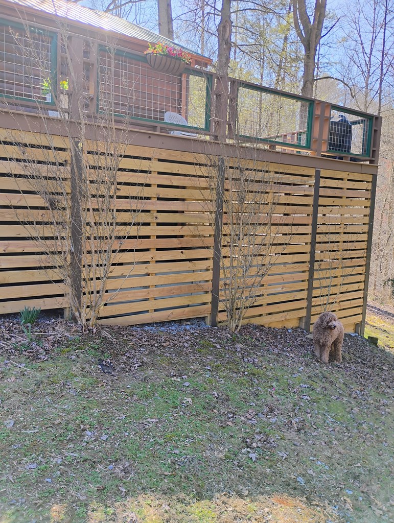 575 Upper Bear Paw Road Murphy, NC 28906 - Photo 17 of 61