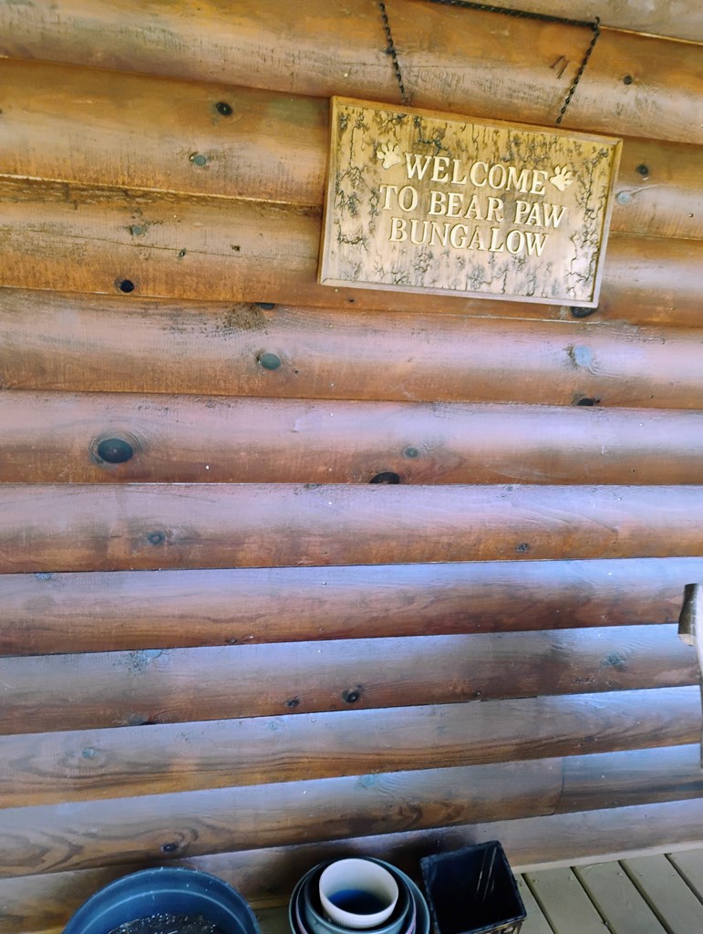 575 Upper Bear Paw Road Murphy, NC 28906 - Photo 26 of 61