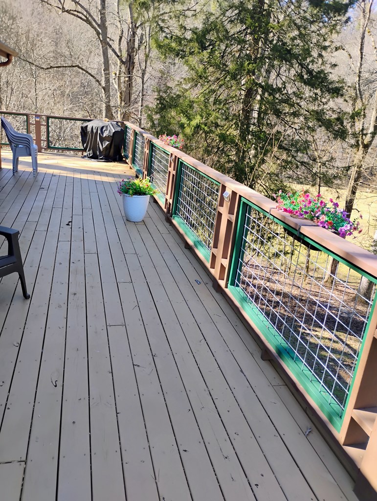 575 Upper Bear Paw Road Murphy, NC 28906 - Photo 27 of 61