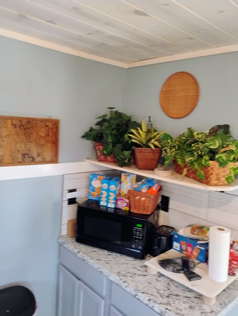 575 Upper Bear Paw Road Murphy, NC 28906 - Photo 36 of 61