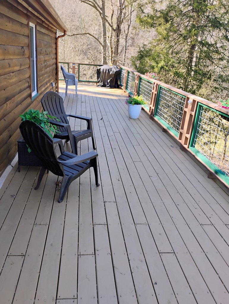 575 Upper Bear Paw Road Murphy, NC 28906 - Photo 41 of 61