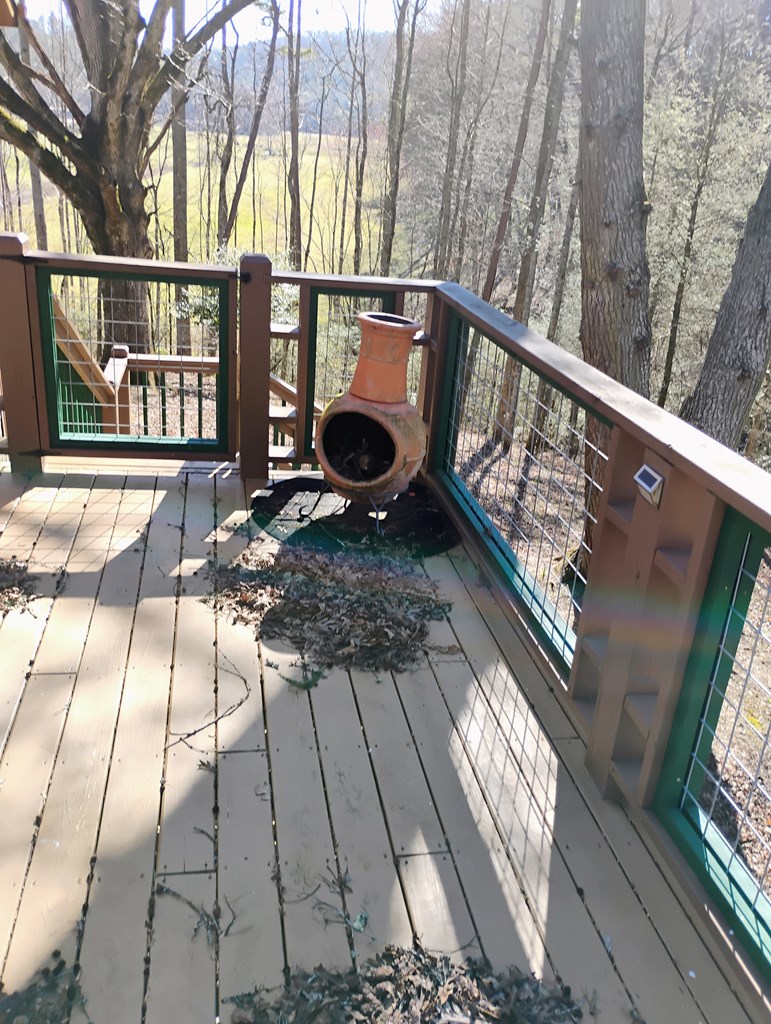 575 Upper Bear Paw Road Murphy, NC 28906 - Photo 42 of 61