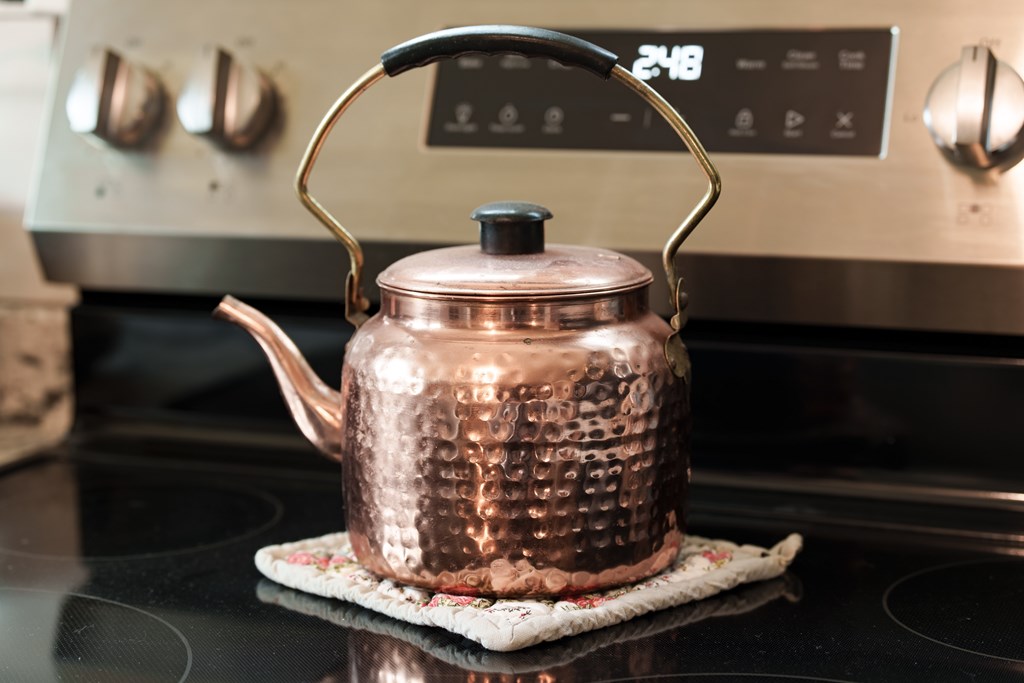 575 Upper Bear Paw Road Murphy, NC 28906 - Photo 54 of 61