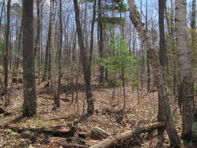 8242 Hull Road Eagle River, WI 54521 - Photo 17 of 17 Gallery Image 17