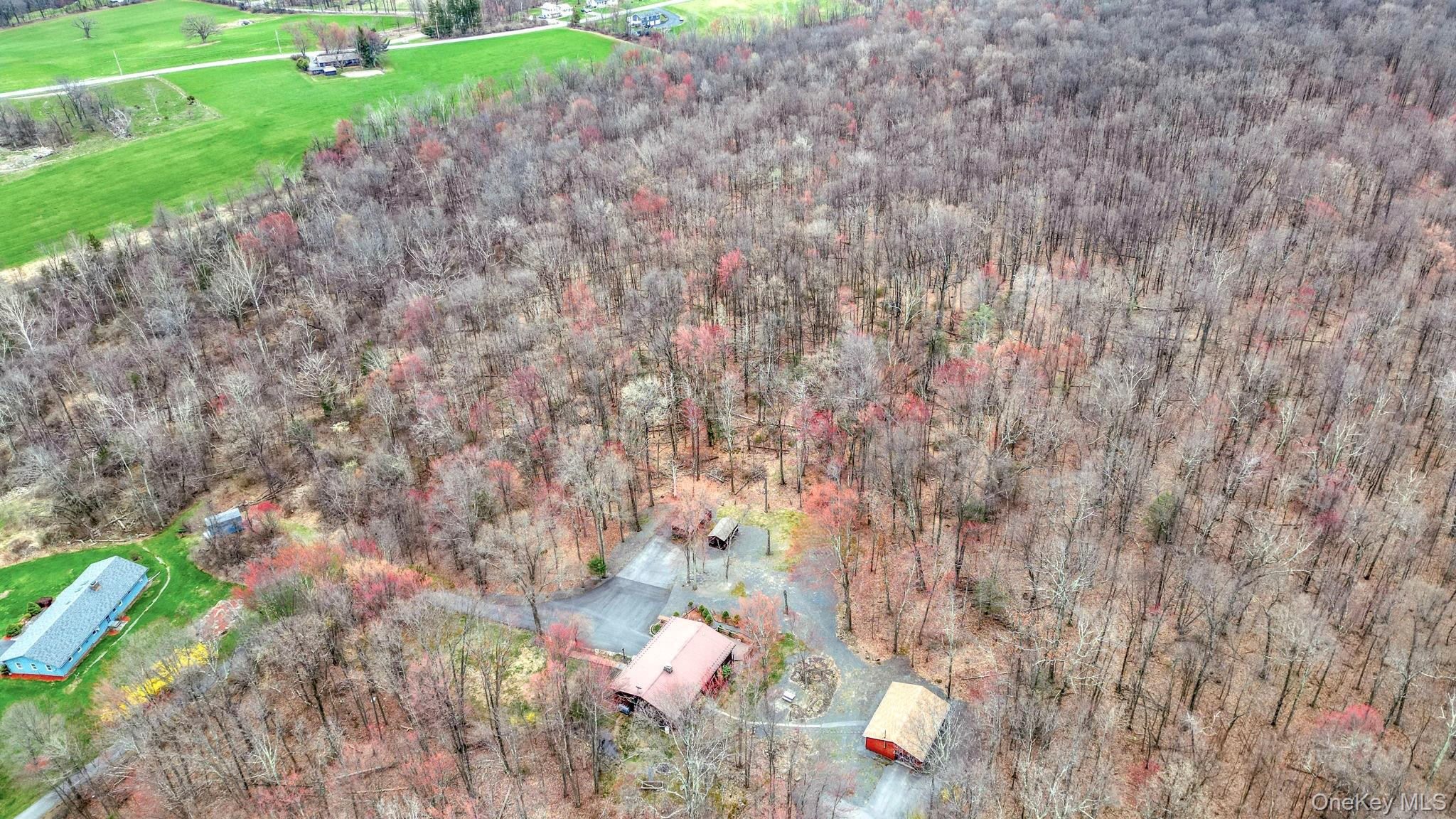 239 Millsburg Road Middletown, NY 10940 - Photo 9 of 41