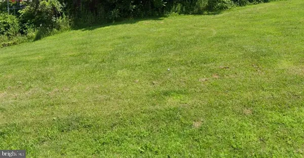 a view of yard with green space