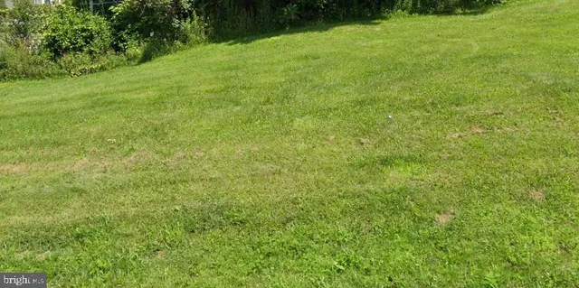 a view of a big yard with plants and large trees