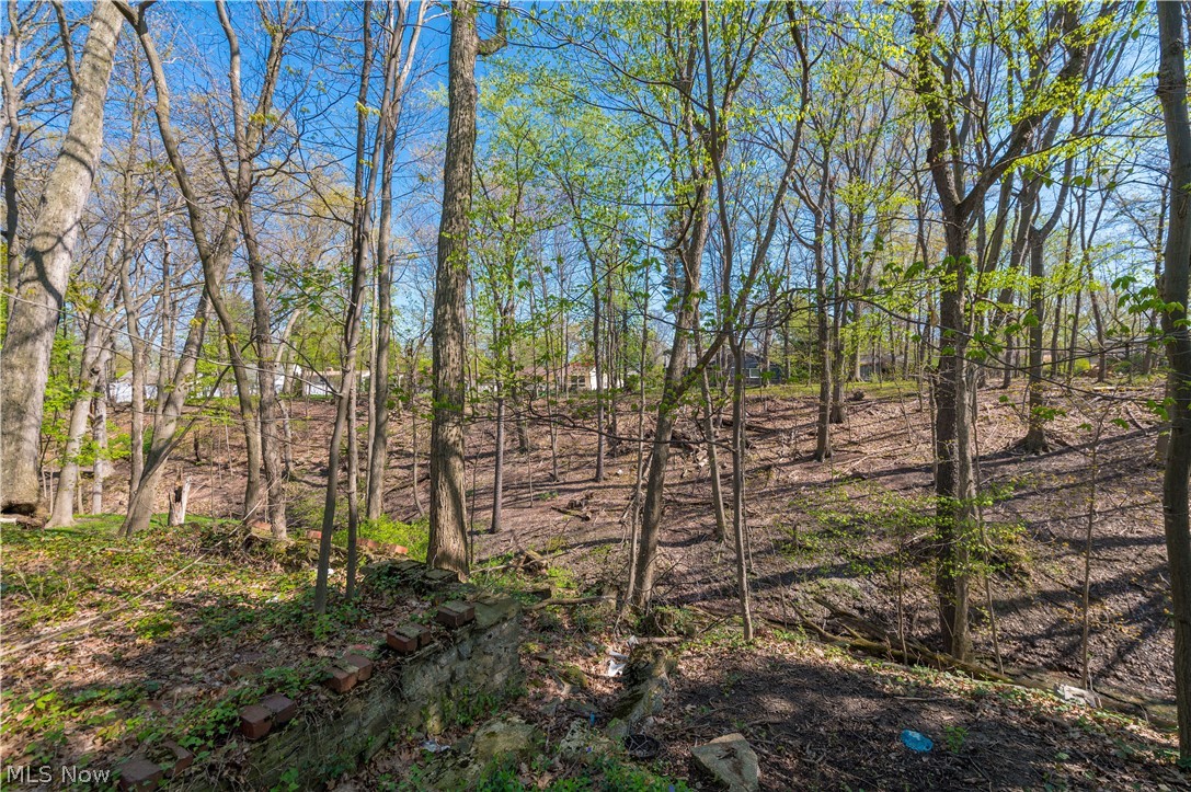 3675 Randolph Road Cleveland Heights, OH 44121 - Photo 48 of 50