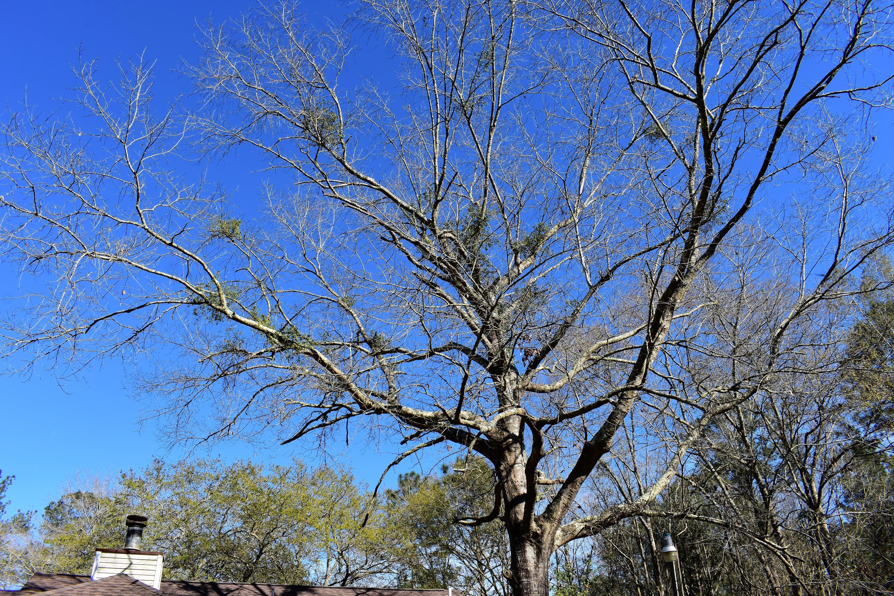 4004 Kasper Road Moss Point, MS 39562 - Photo 34 of 38 DSC_0054