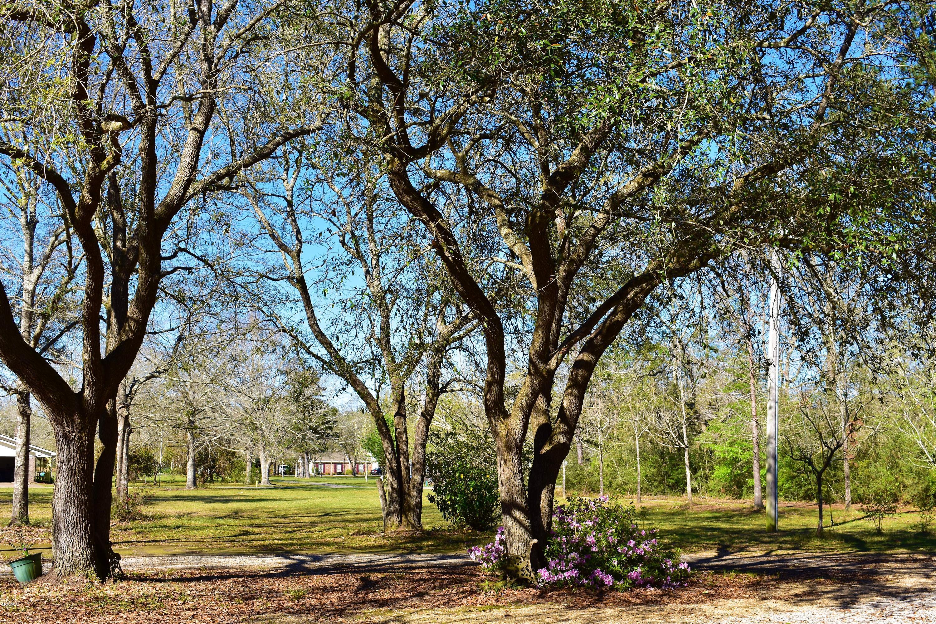4004 Kasper Road Moss Point, MS 39562 - Photo 36 of 38 DSC_0056