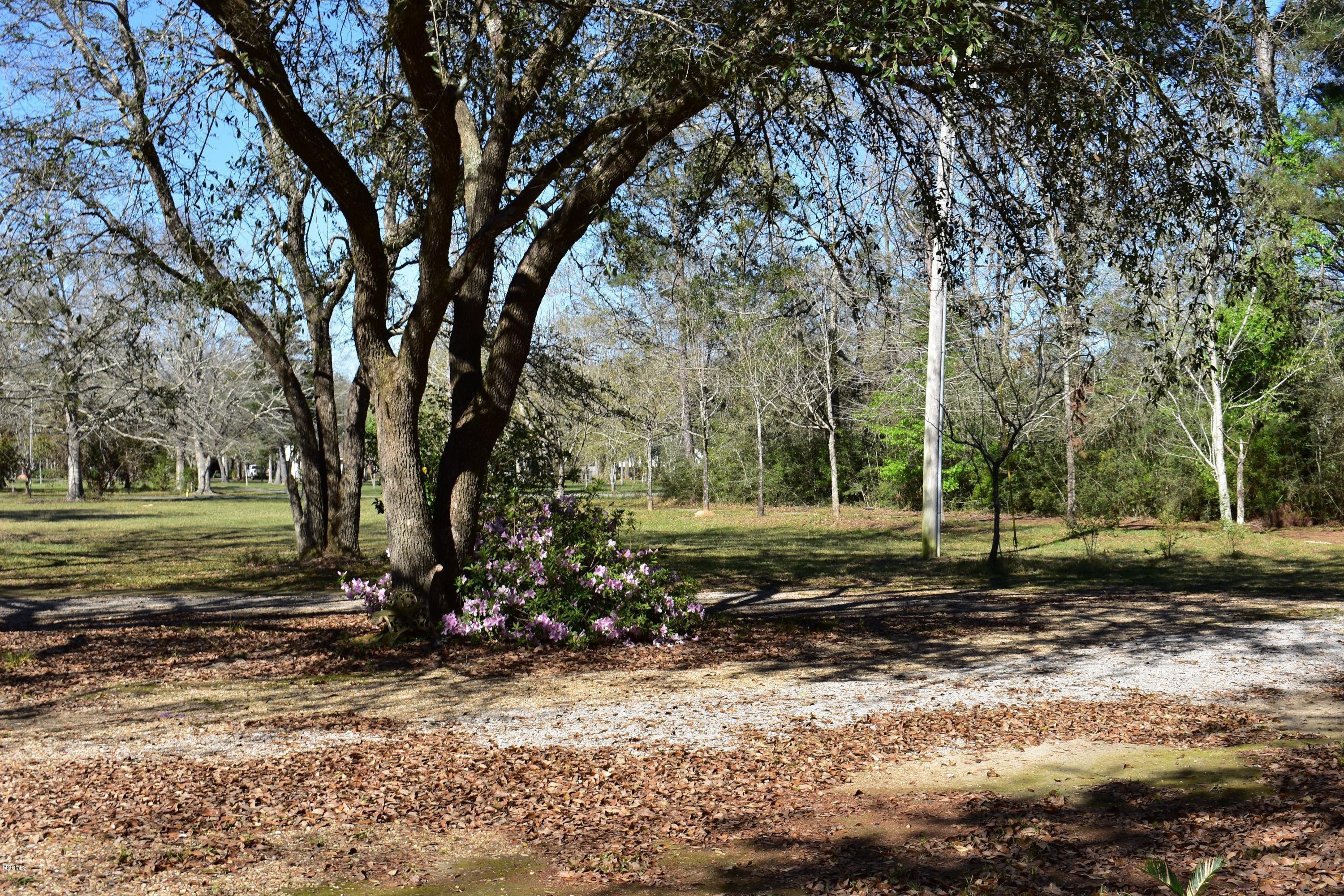 4004 Kasper Road Moss Point, MS 39562 - Photo 6 of 38 DSC_0006