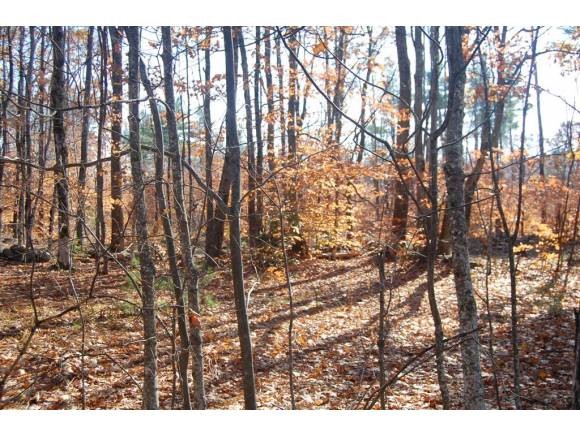 3 Sawyer Lake Road Gilmanton, NH 03237 - Photo 1 of 1