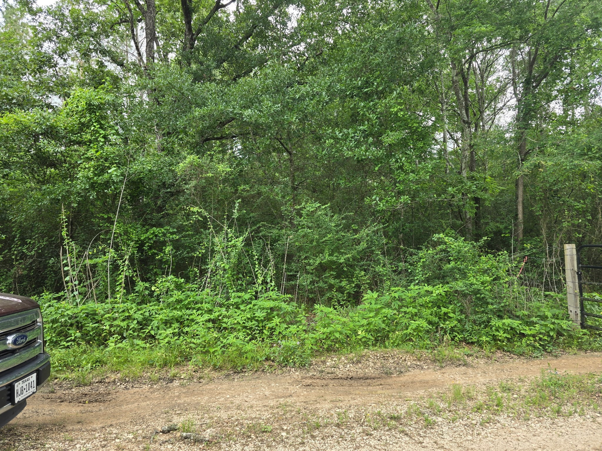 0 Joyner Road New Waverly, TX 77358 - Photo 6 of 7