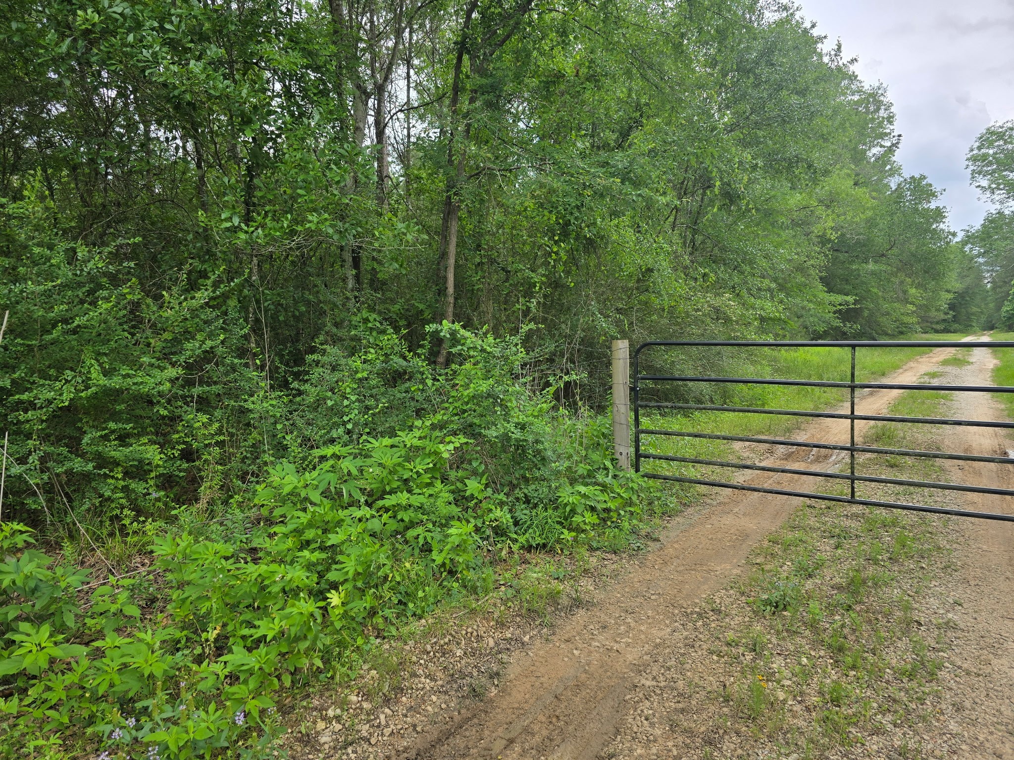 0 Joyner Road New Waverly, TX 77358 - Photo 7 of 7