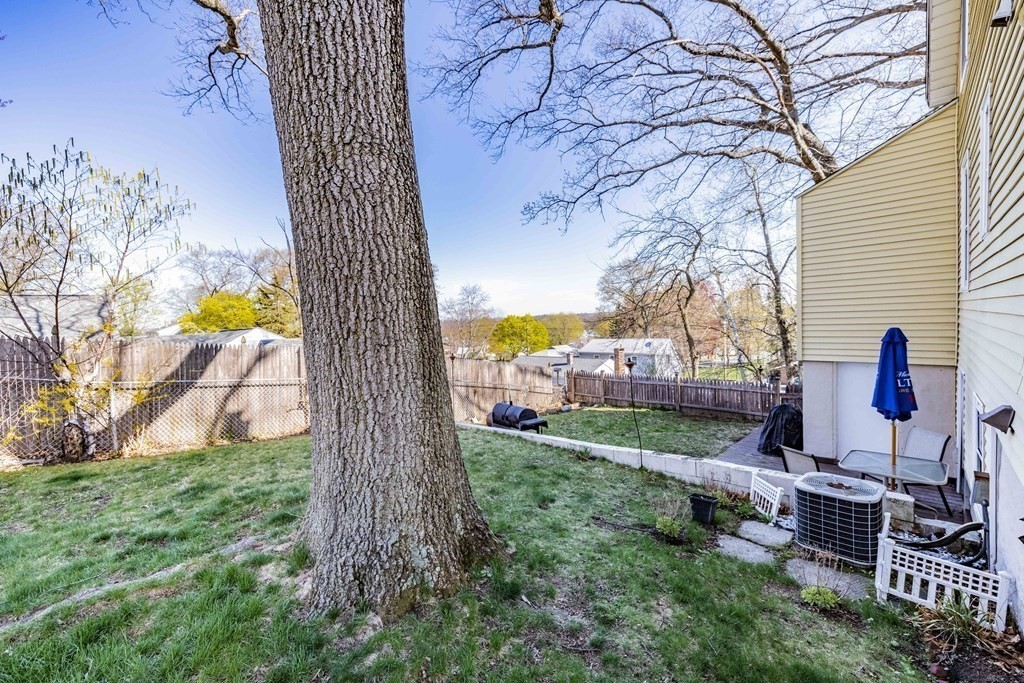 90 Rochester Street Chicopee, MA 01020 - Photo 25 of 31 a view of a garden with a tree