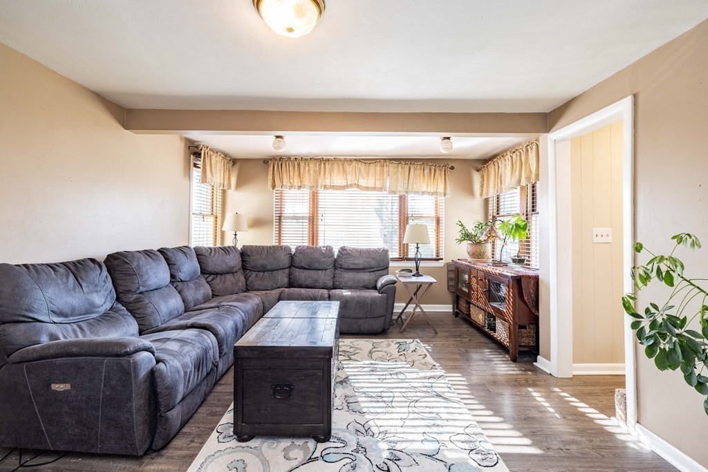 90 Rochester Street Chicopee, MA 01020 - Photo 10 of 31 a living room with furniture and a potted plant