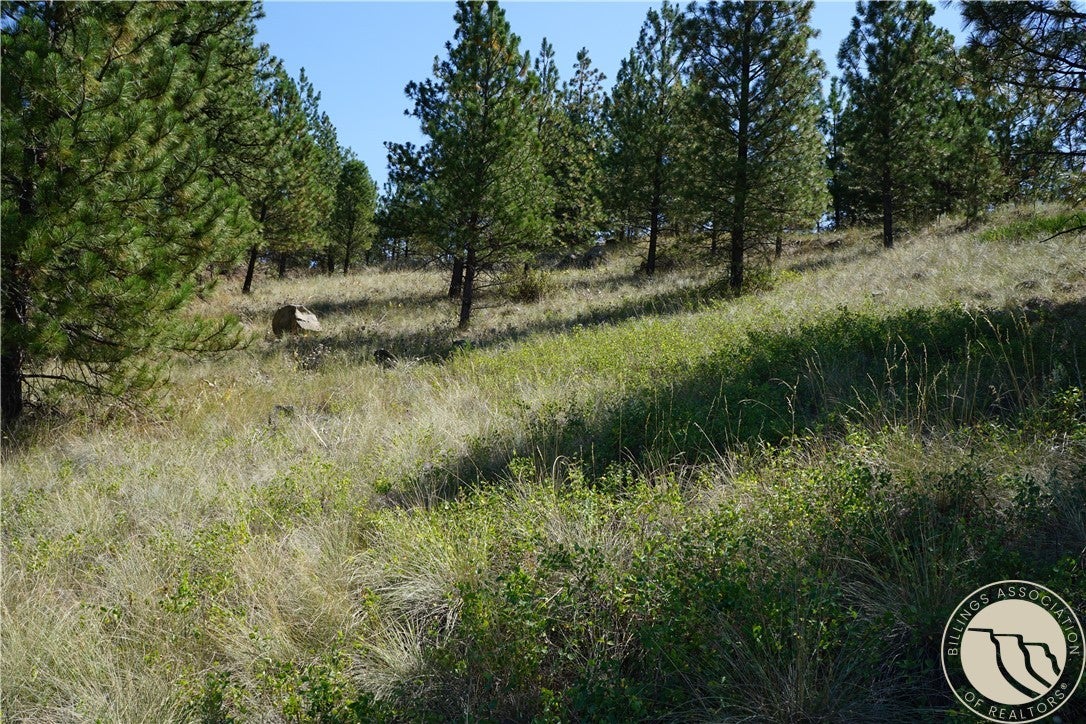 Tbd Ridge Crest Lane Cascade, MT 59421 - Photo 12 of 26 Gallery Image 12