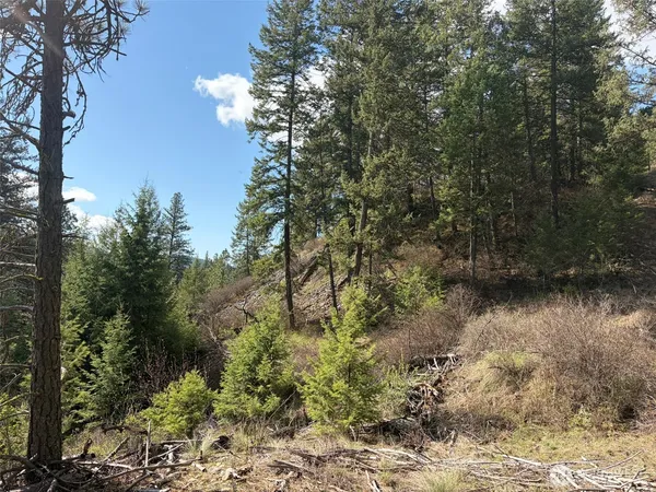 $175,000 | 111-tbd West Curlew Lake Road, Republic, WA 99166