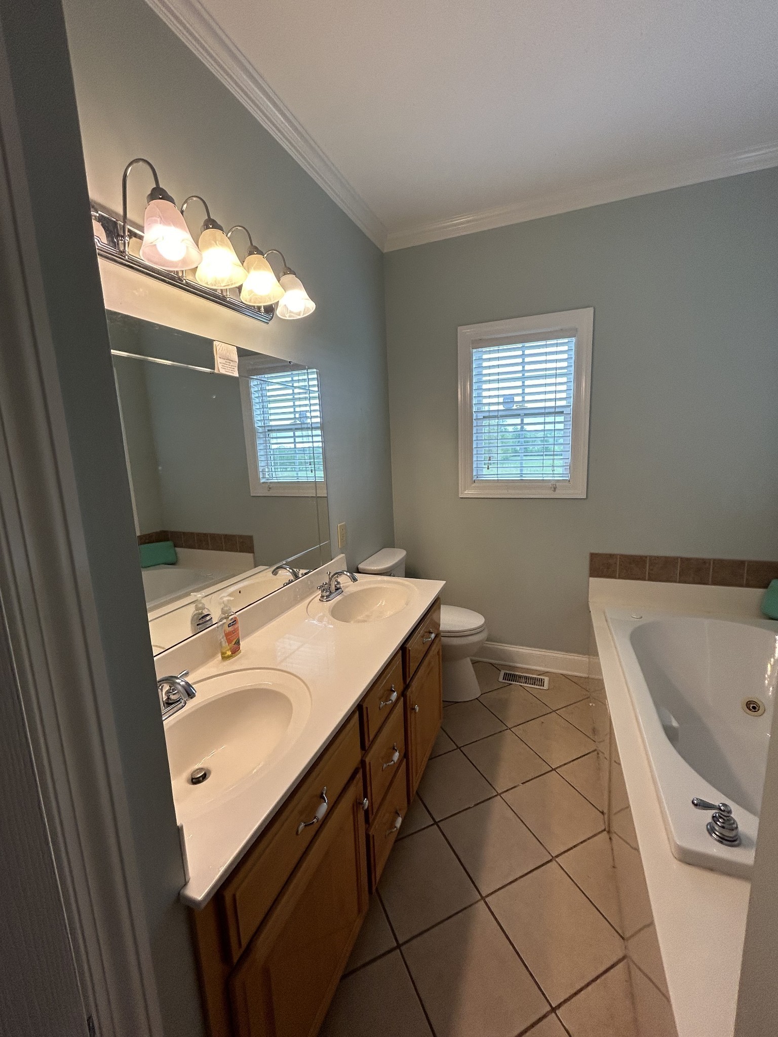 3421 George Olive Road Iron City, TN 38463 - Photo 32 of 51 a bathroom with a sink and a bathtub