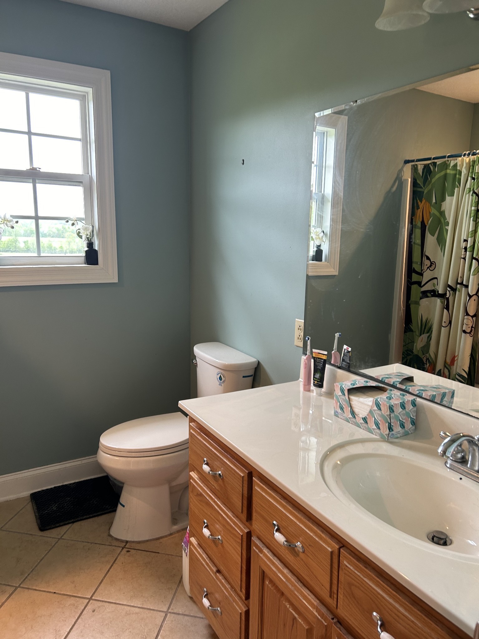3421 George Olive Road Iron City, TN 38463 - Photo 35 of 51 a bathroom with a sink and a toilet