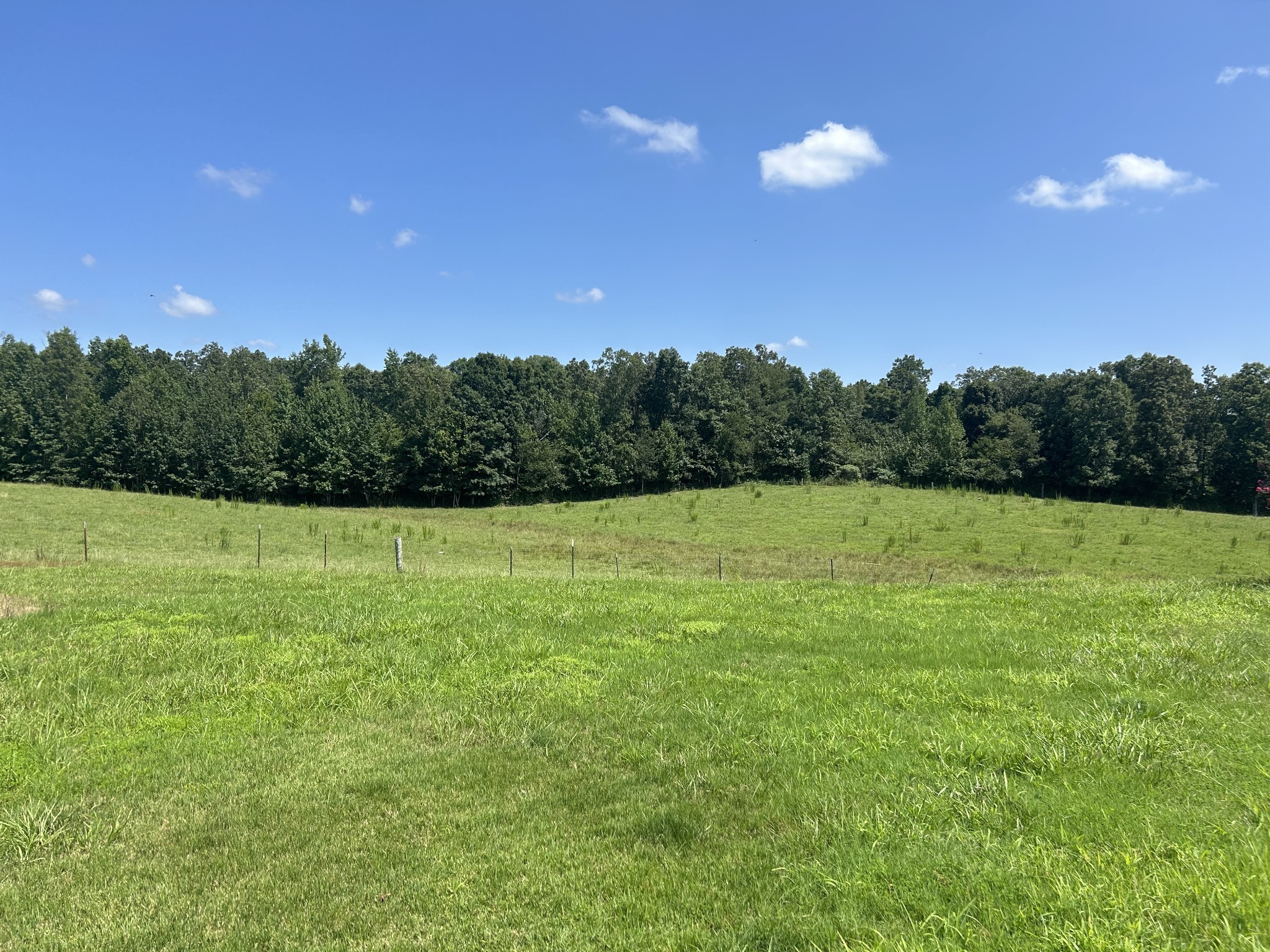 3421 George Olive Road Iron City, TN 38463 - Photo 43 of 51 a view of a grassy field with trees in the background