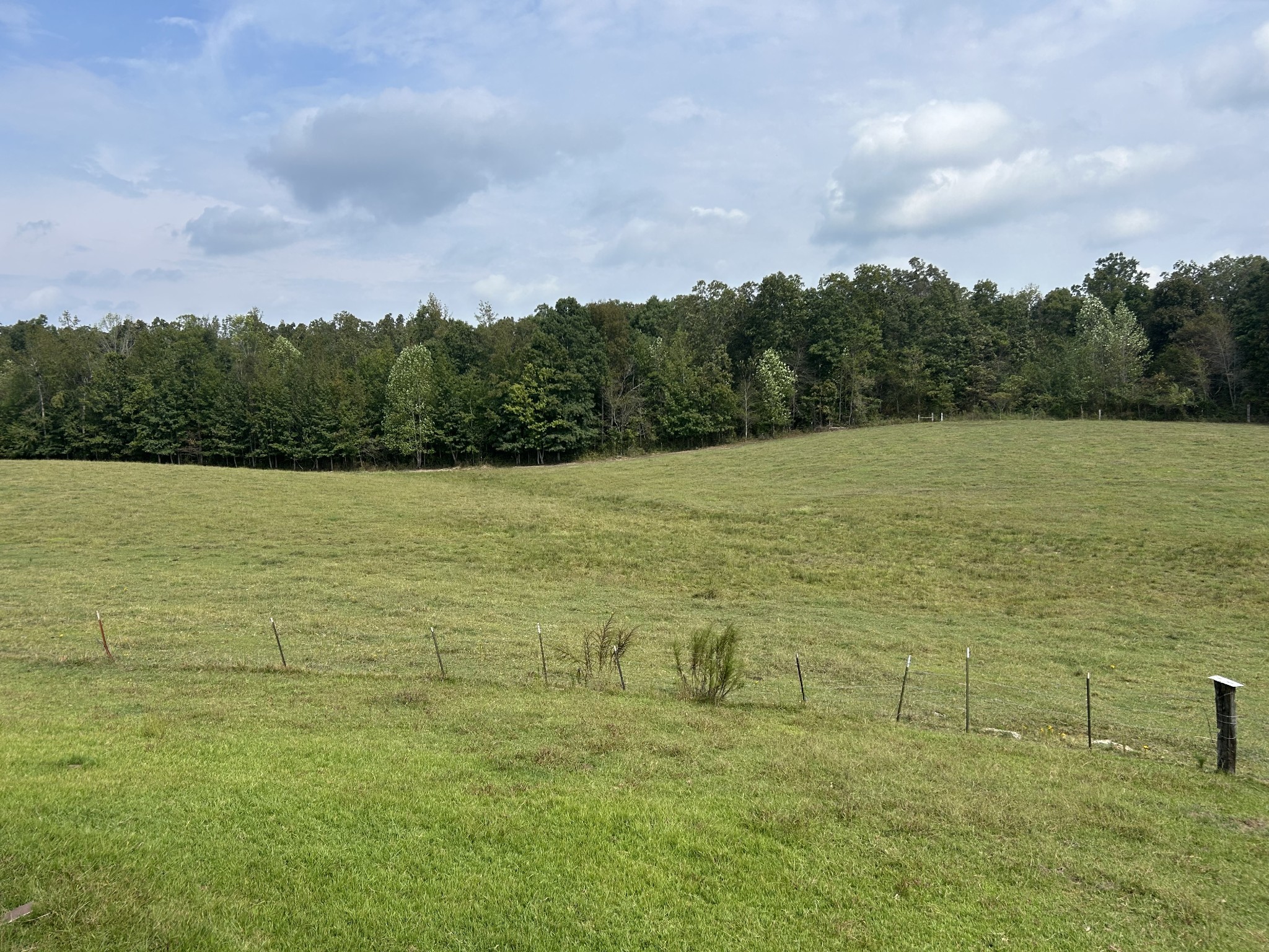 3421 George Olive Road Iron City, TN 38463 - Photo 48 of 51 a view of outdoor space and yard